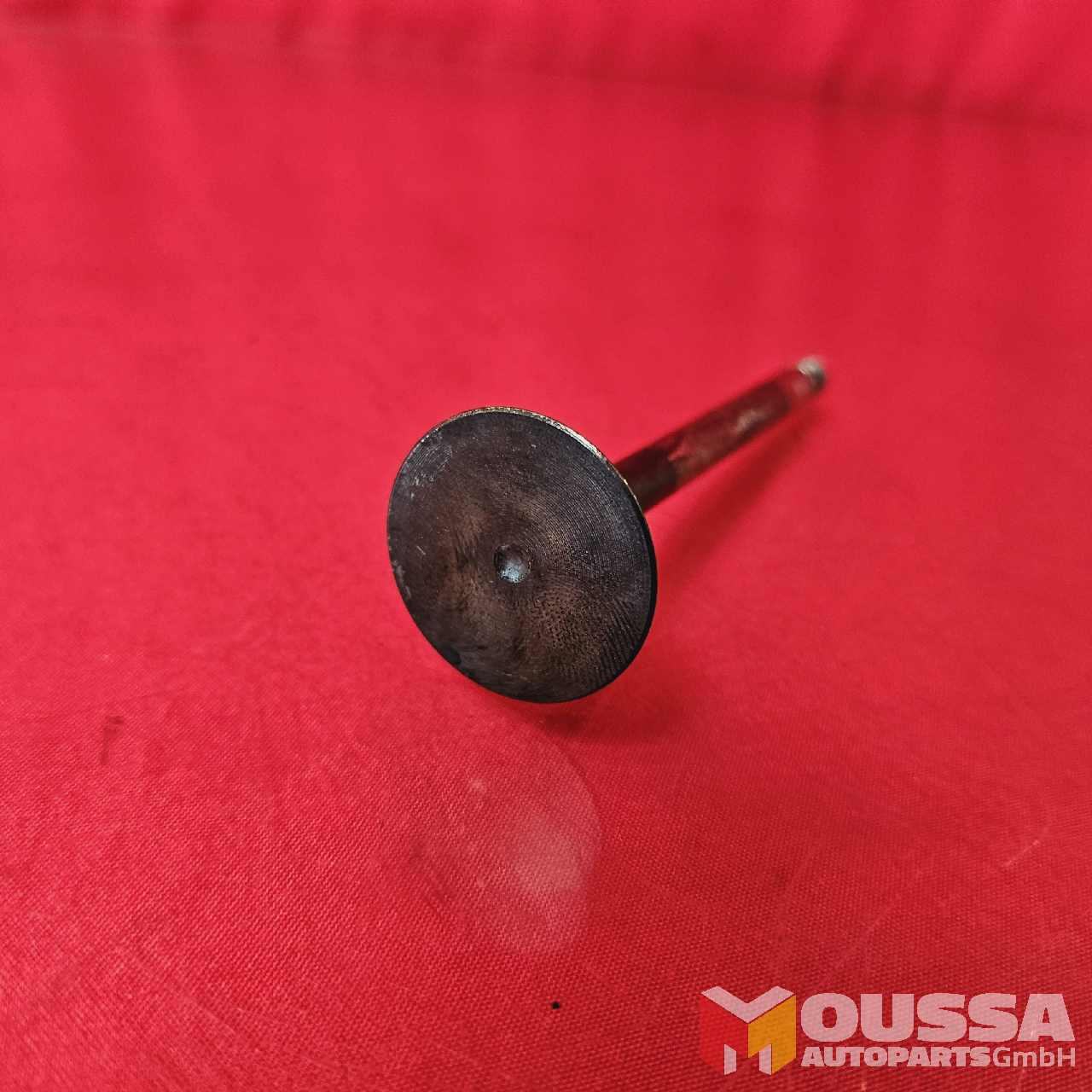 MOUSSA-AUTOPARTS-667d70f34daa4.jpg