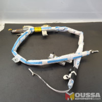 Airbag left side curtain