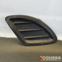 Side bumper cover fog light trim