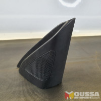 Triangle speaker