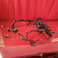 Engine Wiring Harness