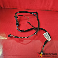 Door electric wiring