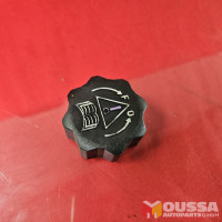 Vacuum pressure valve plug