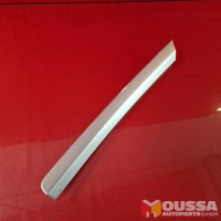 Bumper molding strip trim