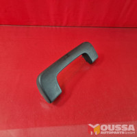 Grab handle with coat hang