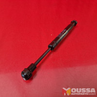 Shock absorbers foot operated parking brake