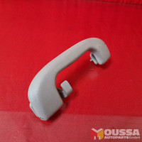 Grab handle with hook