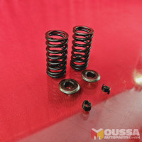 Valve springs set of 2