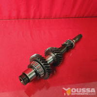 Gear input shaft