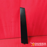 Door trim strip