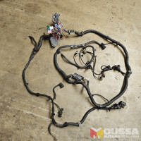 Engine harness cable set wiring loom