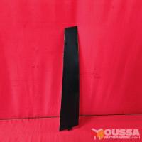 Door molding window cover