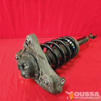 Shock absorber with spring