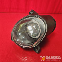 Halogen fog lamp