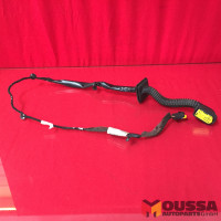 Door electric wiring loom