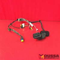 Door electric wiring loom