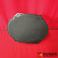 Speaker door speaker