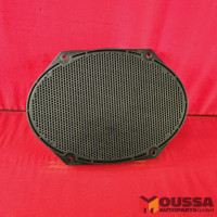 Speaker door speaker