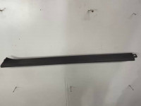 Sill trim entry strip inside