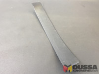 Entry strip door sill trim